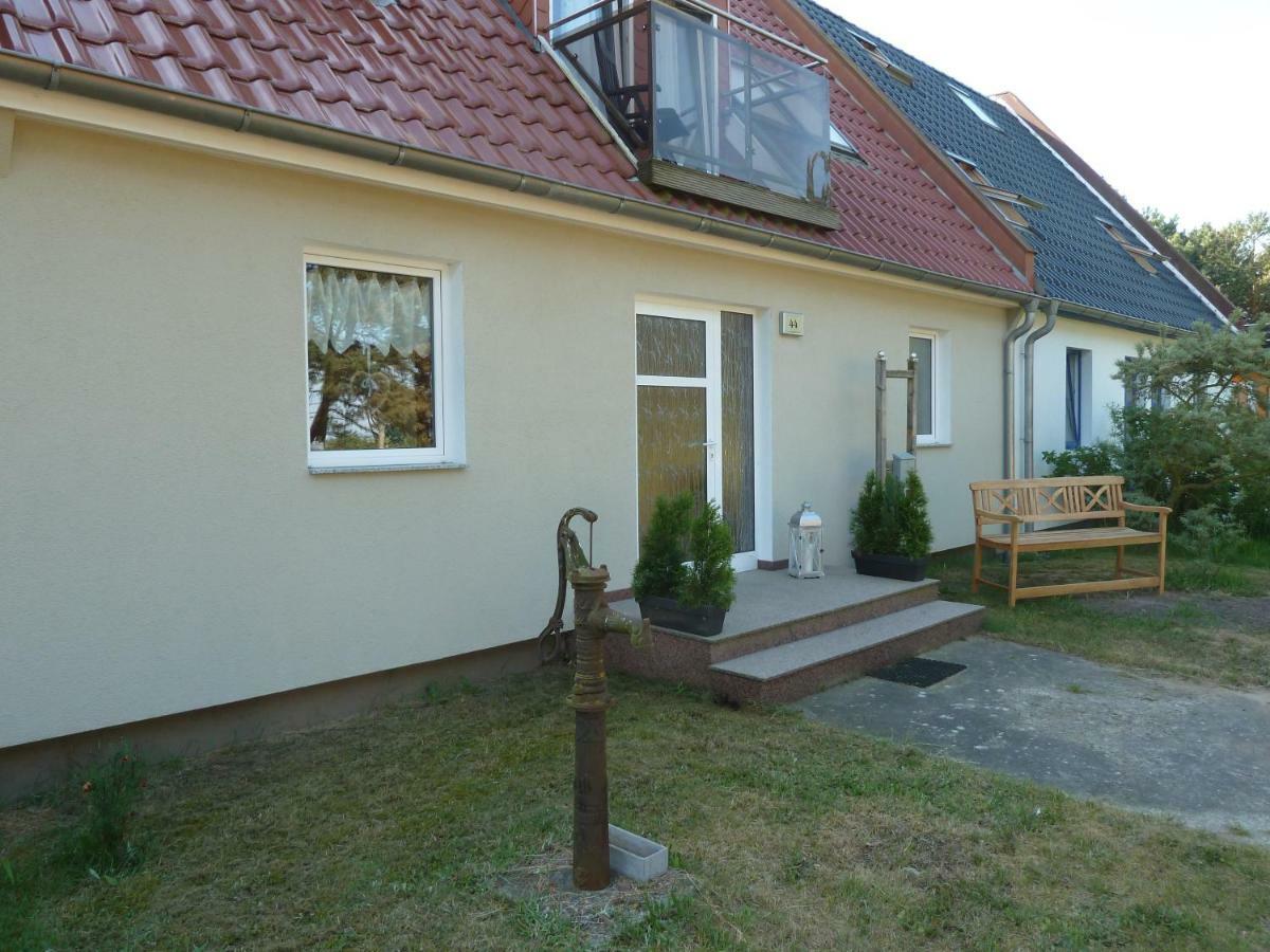 Romantisches Ferienhaus Boddenblick Mit Sauna Pruchten Dış mekan fotoğraf